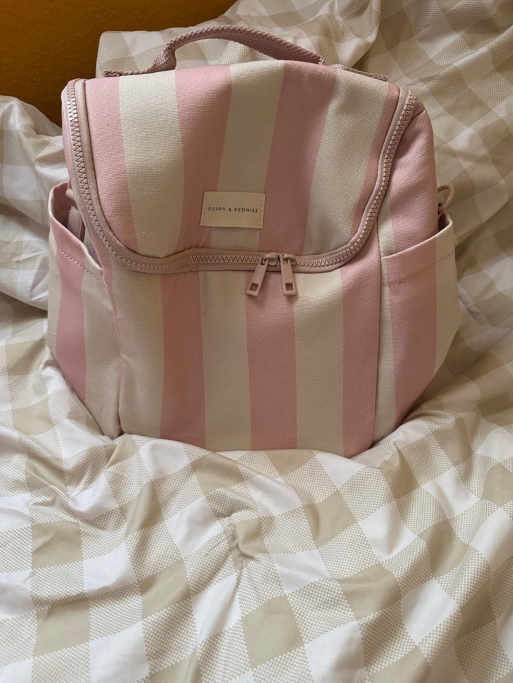 Poppy & Peonies Pink and Cream Striped lunch bag